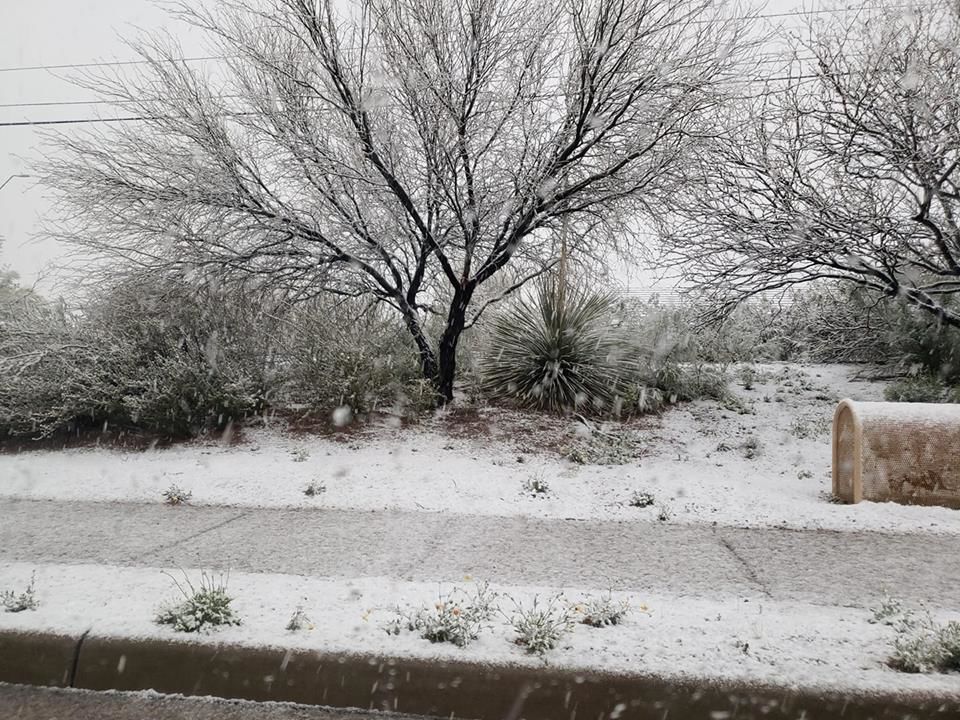 Snow on Tucson's east side